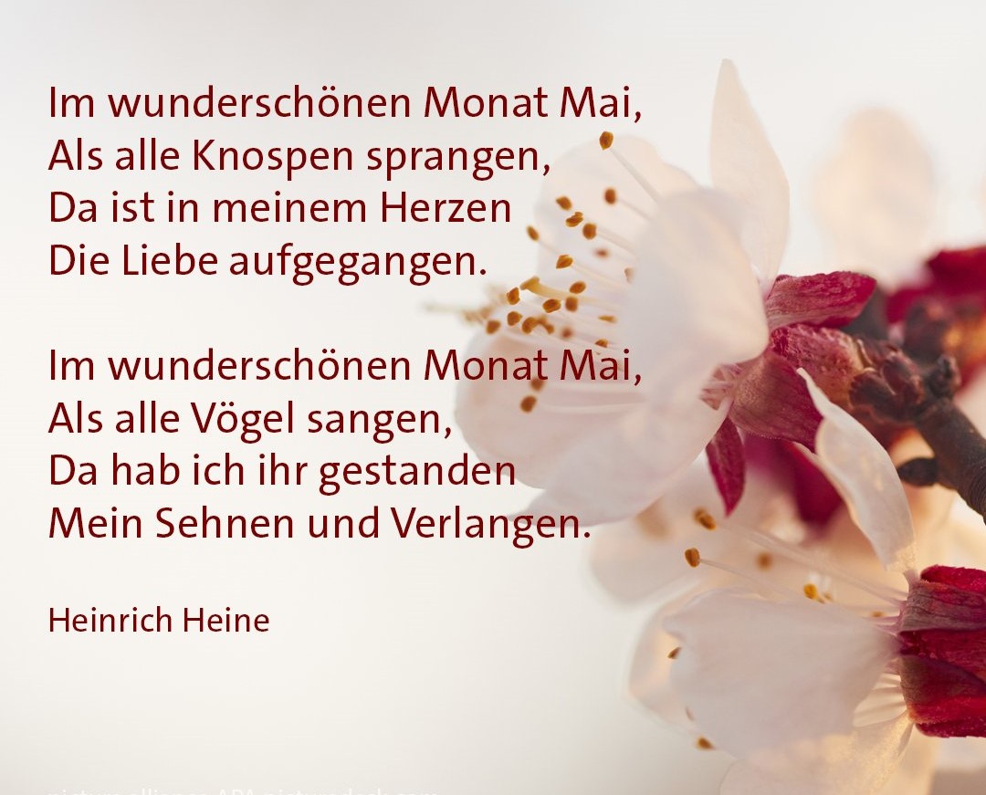 Heinrich Heine Mai